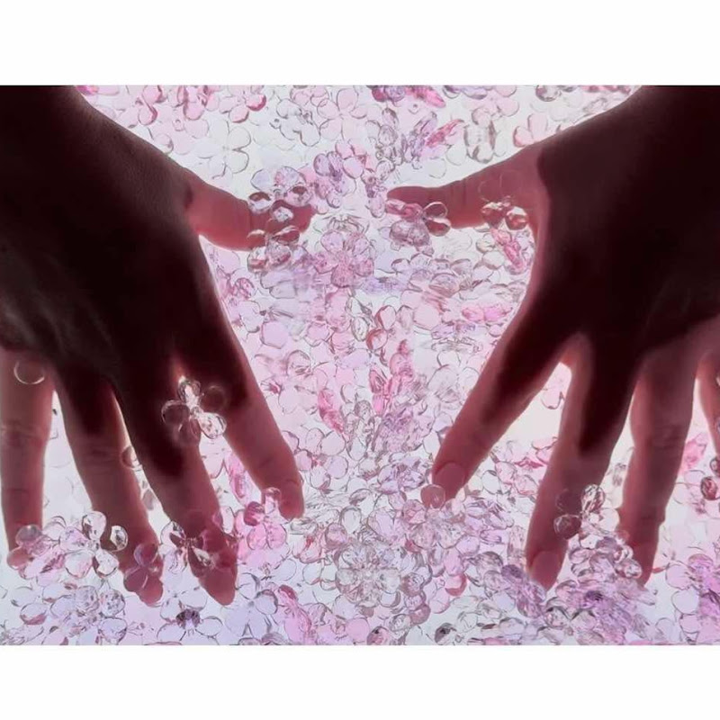 ASMR Sensory Seekers