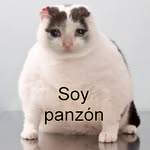 🅼🅸🅲🅷🅸 🅿🅰🅽🆉🅾🅽