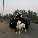 Coco_aur_Athena