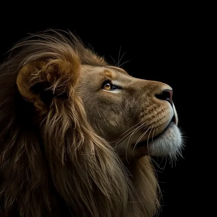 🇦🇬👑🫵غم خوار وز یر  🦅🇦🇫،