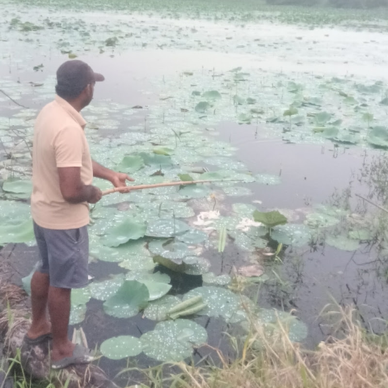 FUN WITH FISHING