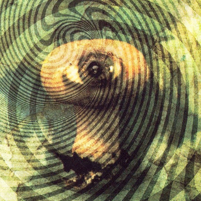 Psychedelic Eyeball