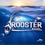 Rooster fish