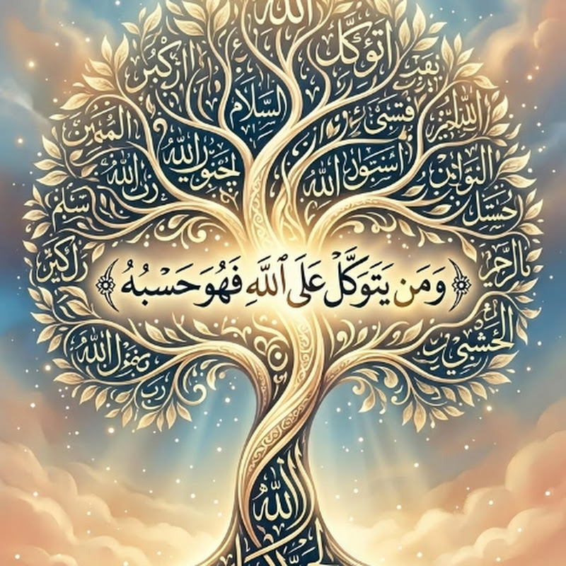 عالم زهرة بفرنسا🌹le monde de zora en france