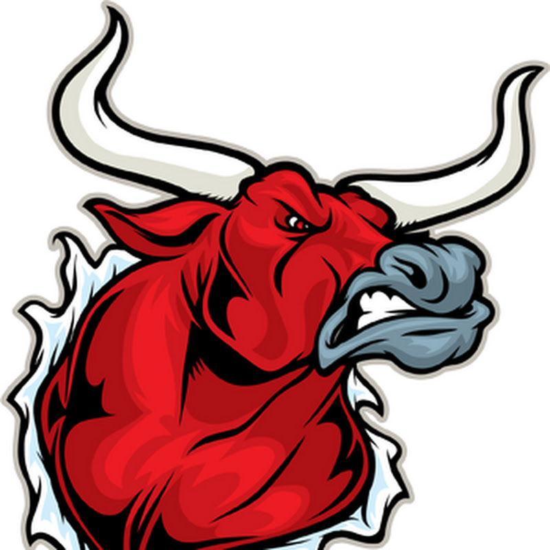 The Bullvine