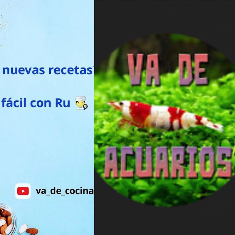 Va de Acuarios y Va de Cocina