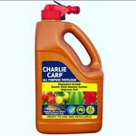 Charlie Carp