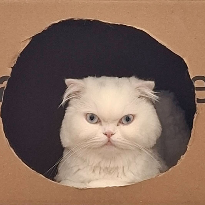 The Grump & Chaos