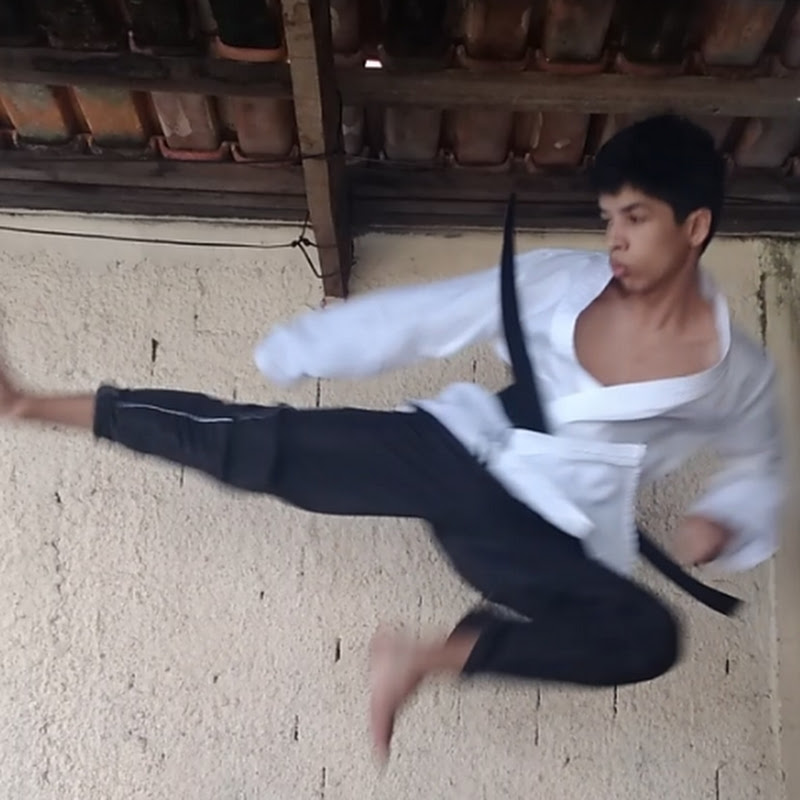 ninja taekwondo540