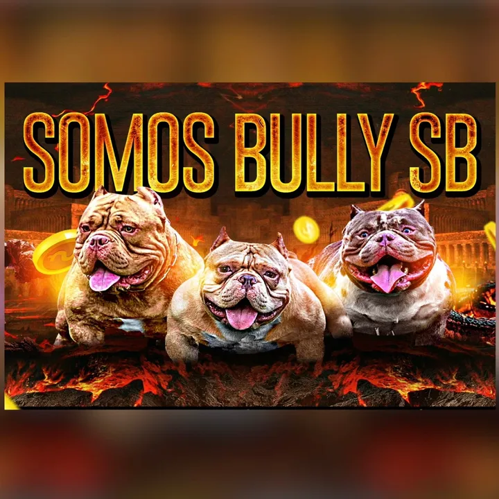 Somos bully SB