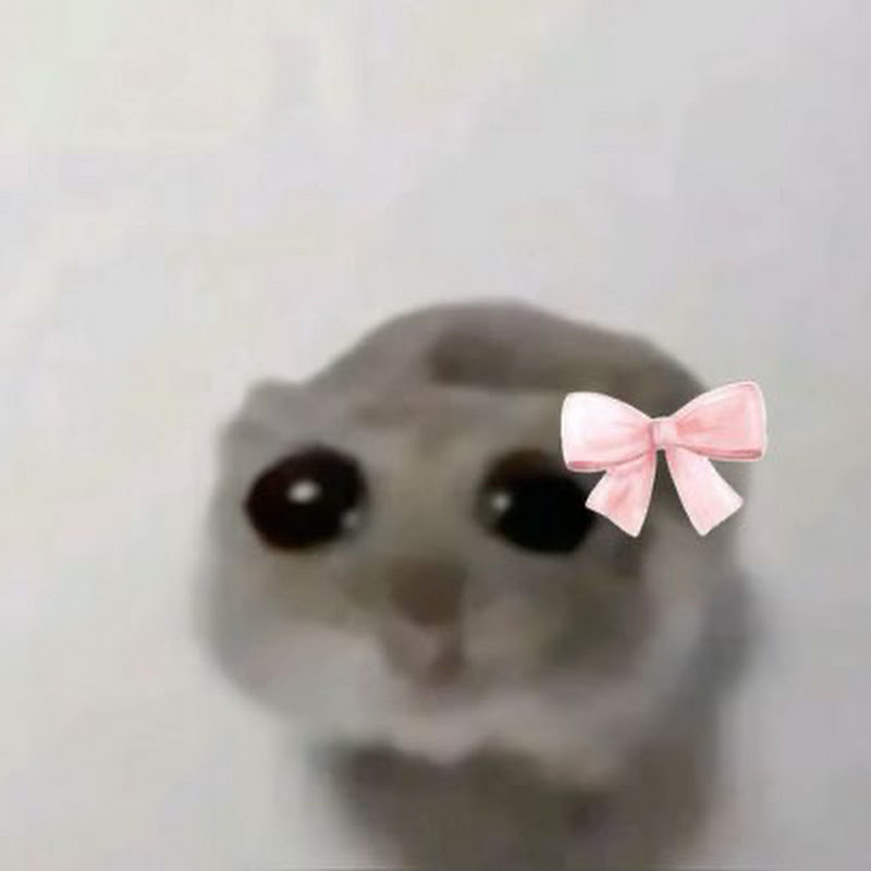 فَضآئيَہ 👽🎀