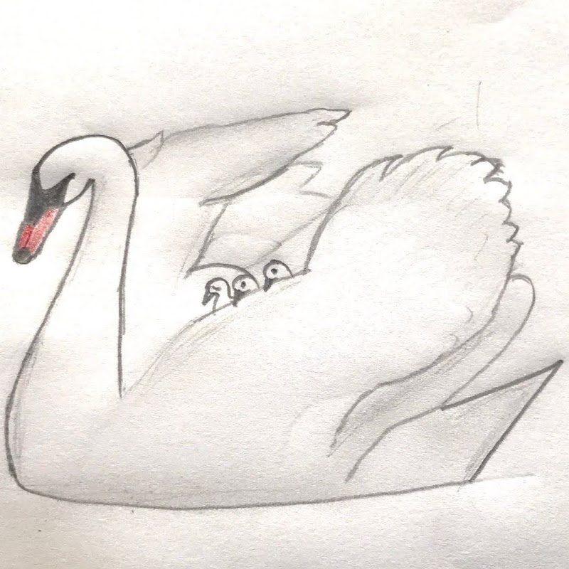 nature on the paper