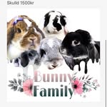 Welcome to our bunny family🥰