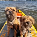 Gus and Ada