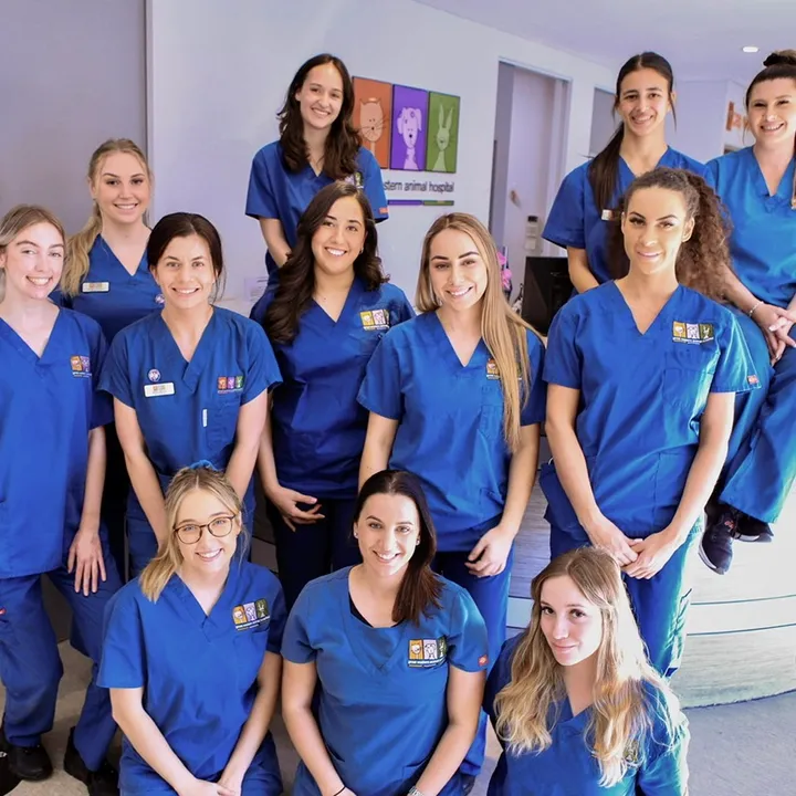 Great Western Animal Hospital