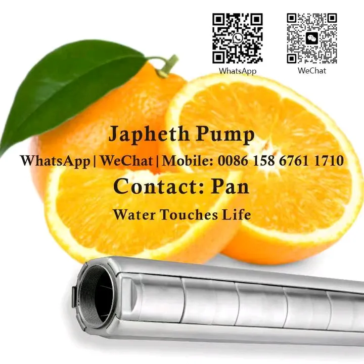 submersible pumps & motors