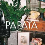 Papaya studio