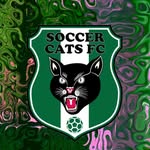 ⚫SOCCER CATS FC🟢