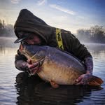 Alchimiecarpefishing