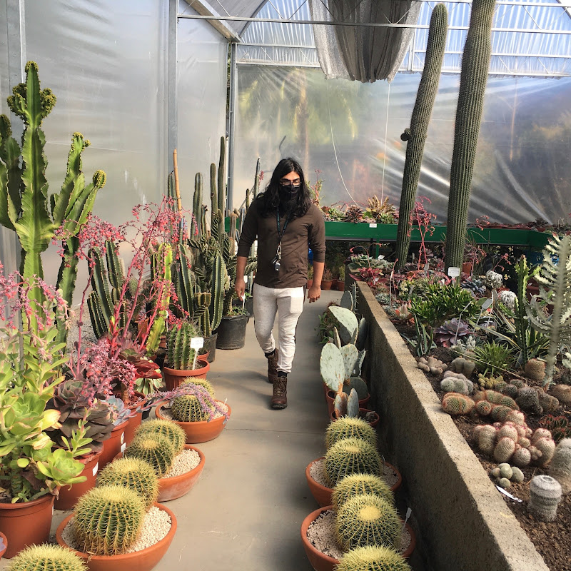 Modern Grower