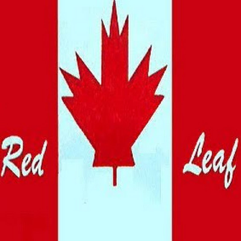 Canadian Cult Classics