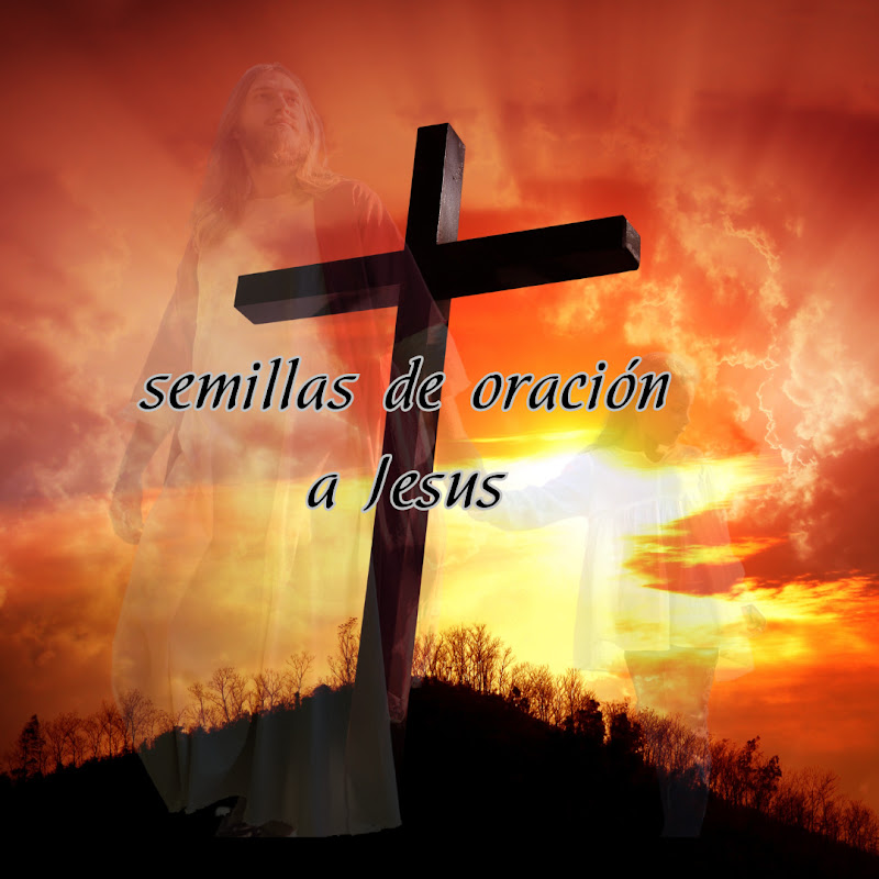 Semillas de Oración