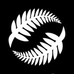 @NZFFutsal