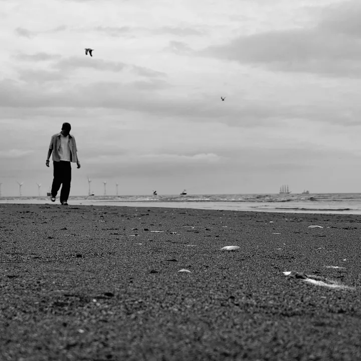 Stuart Veitch