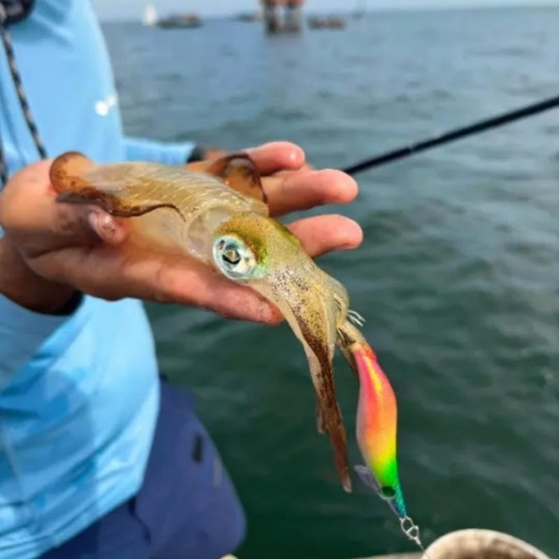 MTCFISHING
