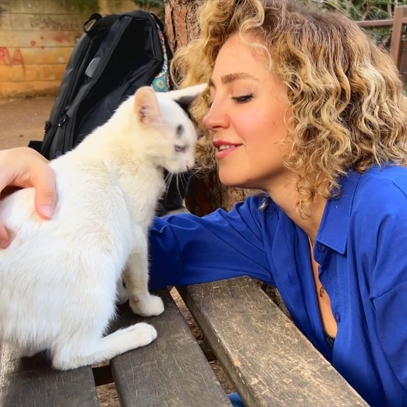 Cats World