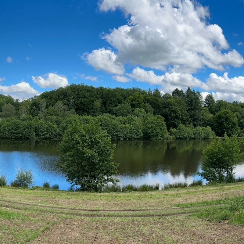 The Fensmere Carpy Chronicles 