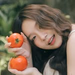 xinxin