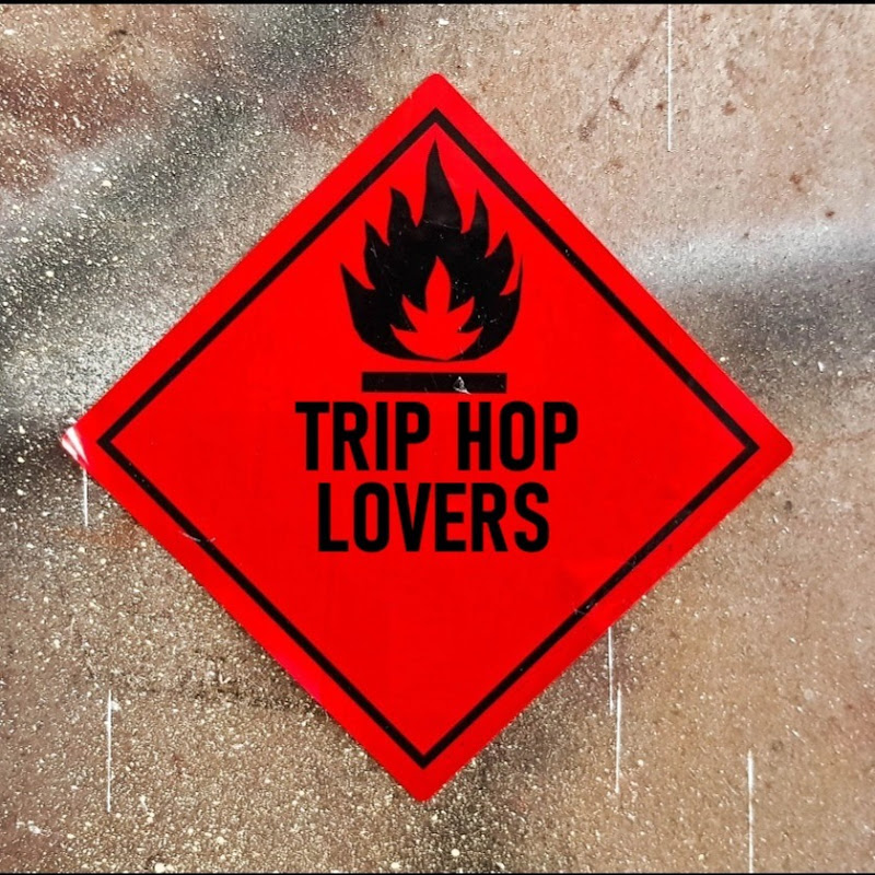 Trip Hop Lovers