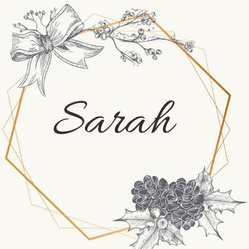 Sarah’s Vlogs
