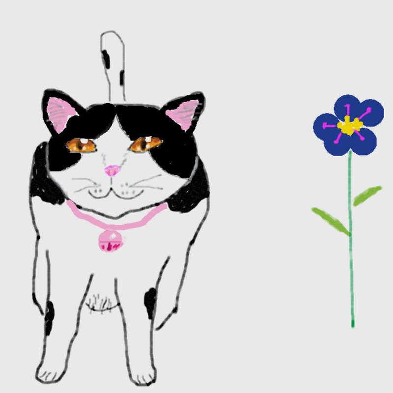 暦ねこ Koyomi néko