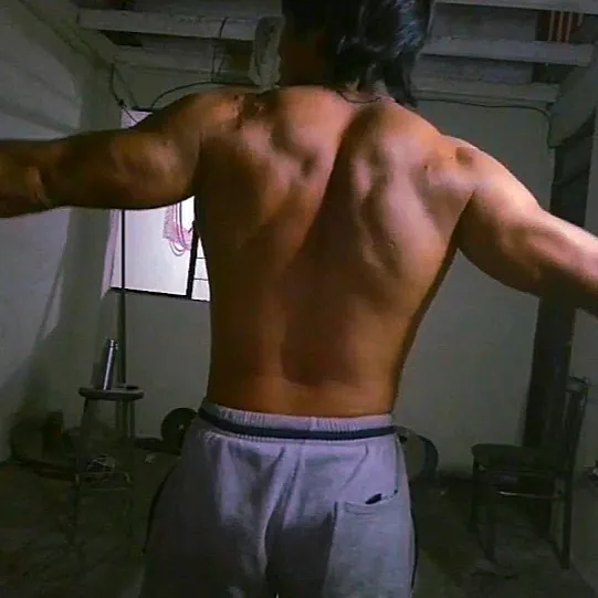 PALITO_Fit
