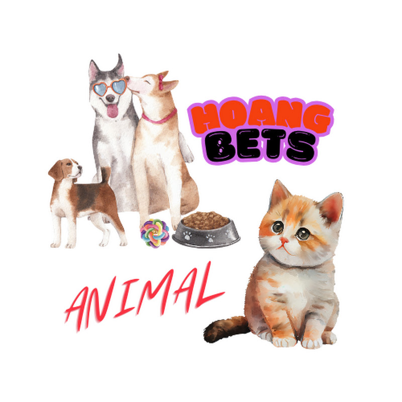 Hoang Pets & Animal