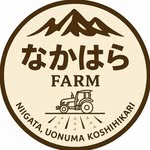 桜まさ