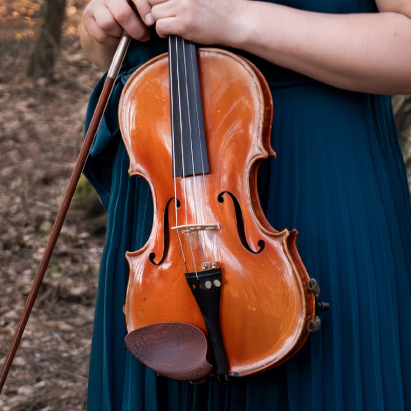 Forest Violin