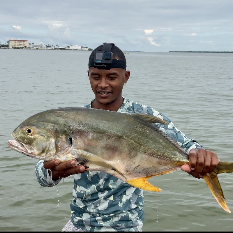 Fish 501 Belize 