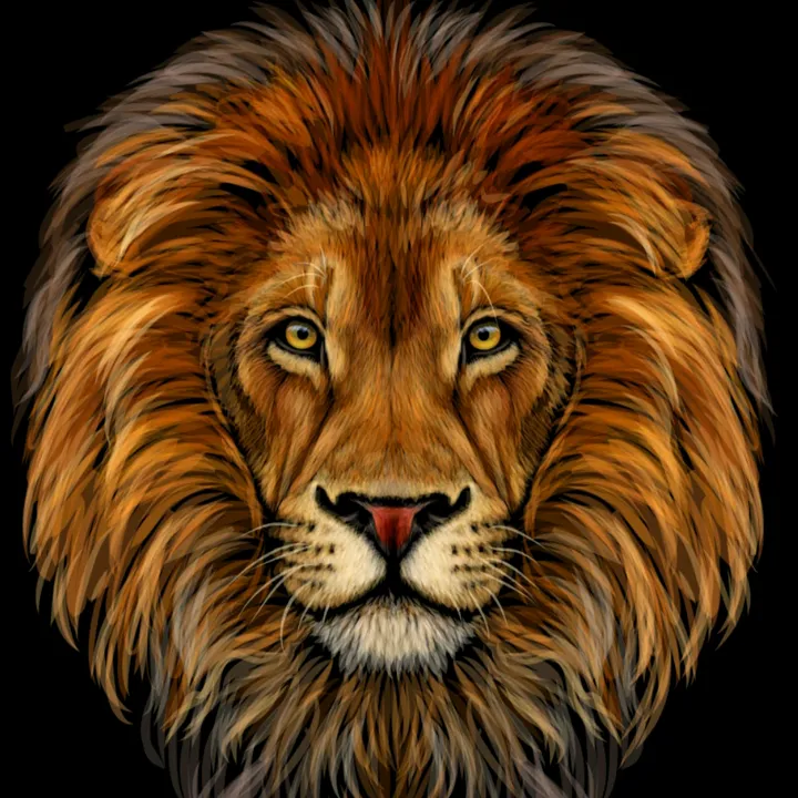 leo shop