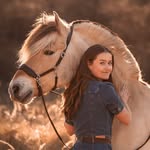 Diego the Fjord Horse 🇳🇱