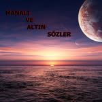 manalivealtinsozler