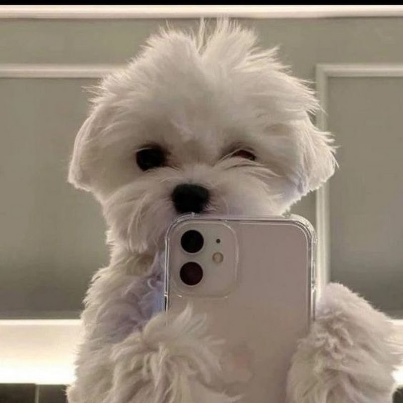 ღ Evi