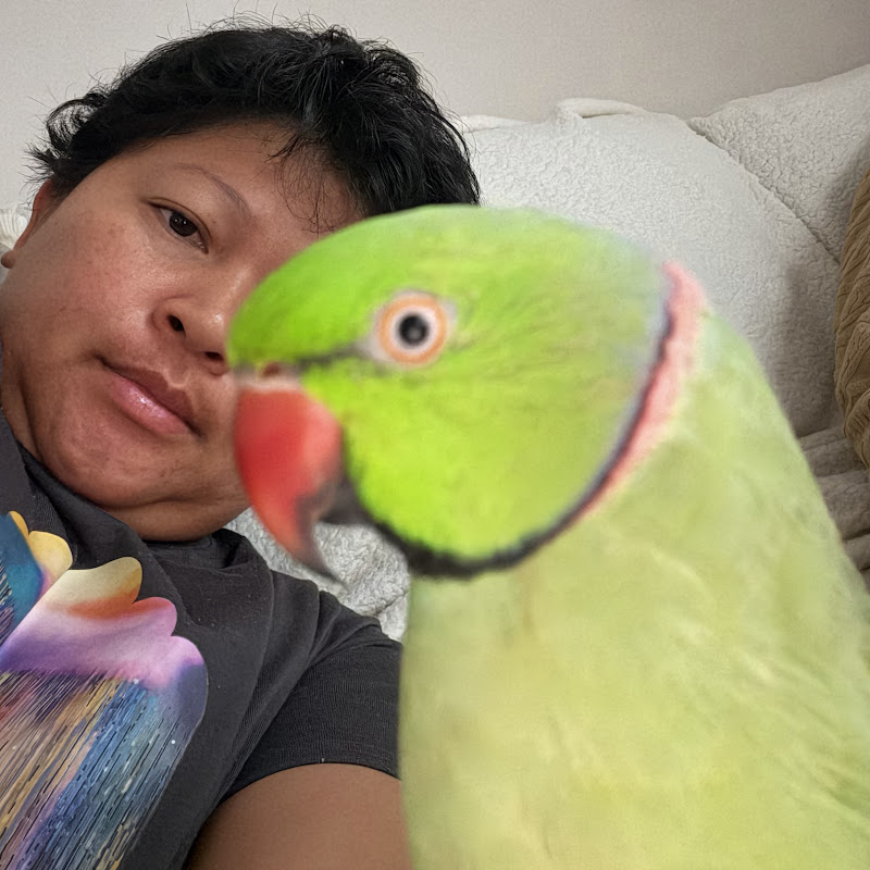 Friends with Feathers 