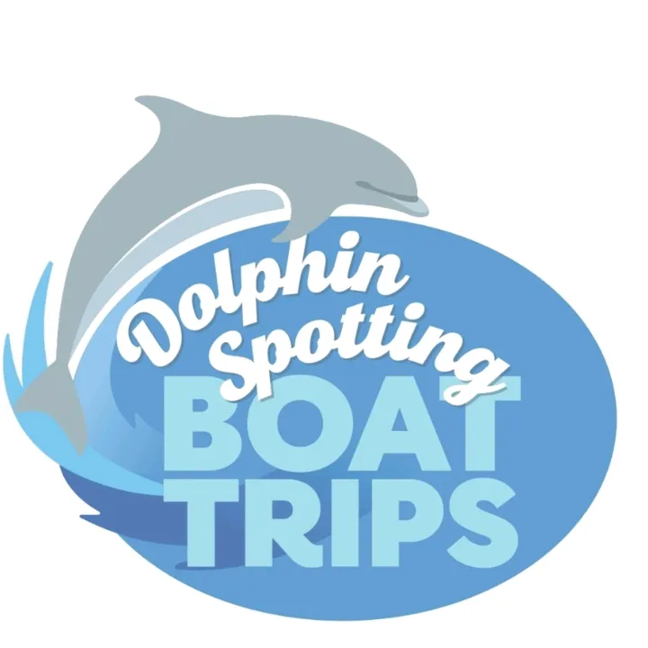 Dolphin Spotting Boat Trips