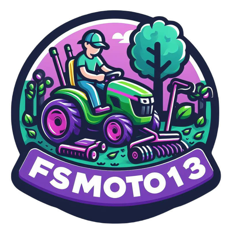 fsmoto13