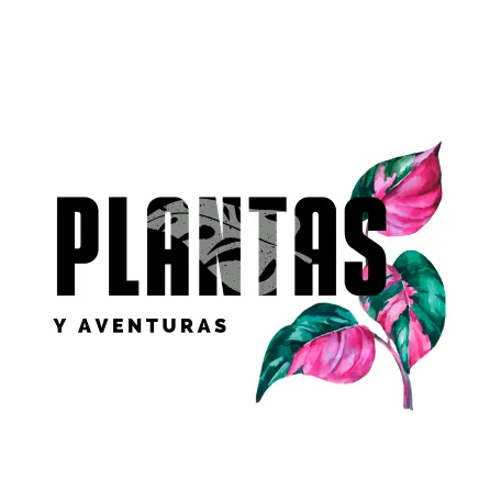 Plantasyaventuras