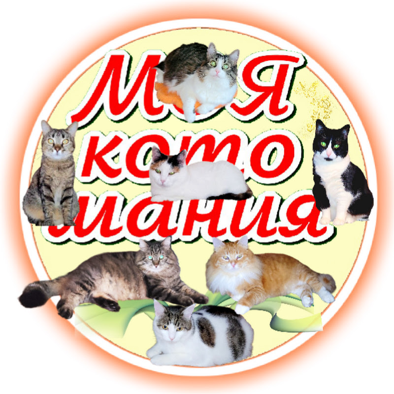 Моя котомания. My catmania.