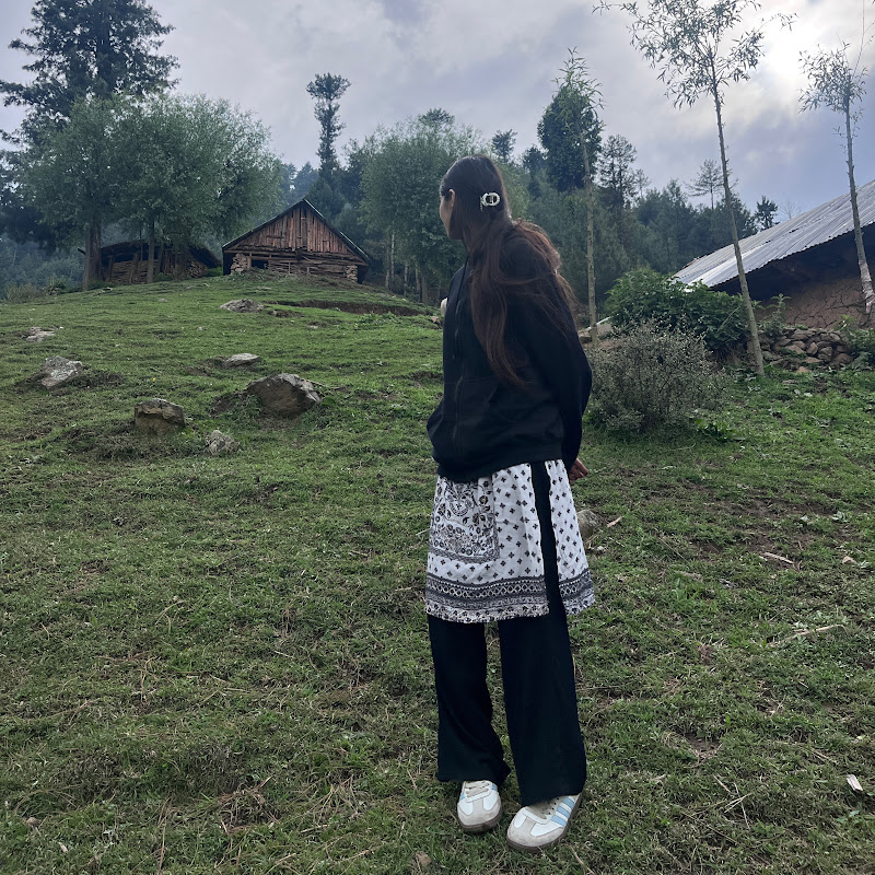 Wandering Girl